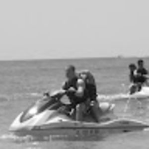 Meet your Posher, Torrey